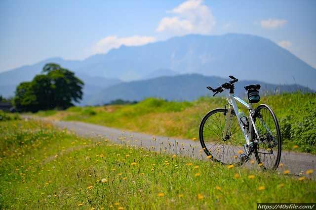 100均の自転車用スマホホルダー ダイソー セリア キャンドゥを調査 40 S File ドットコム